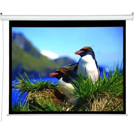 Draper Accuscreens Electric Projection Screen