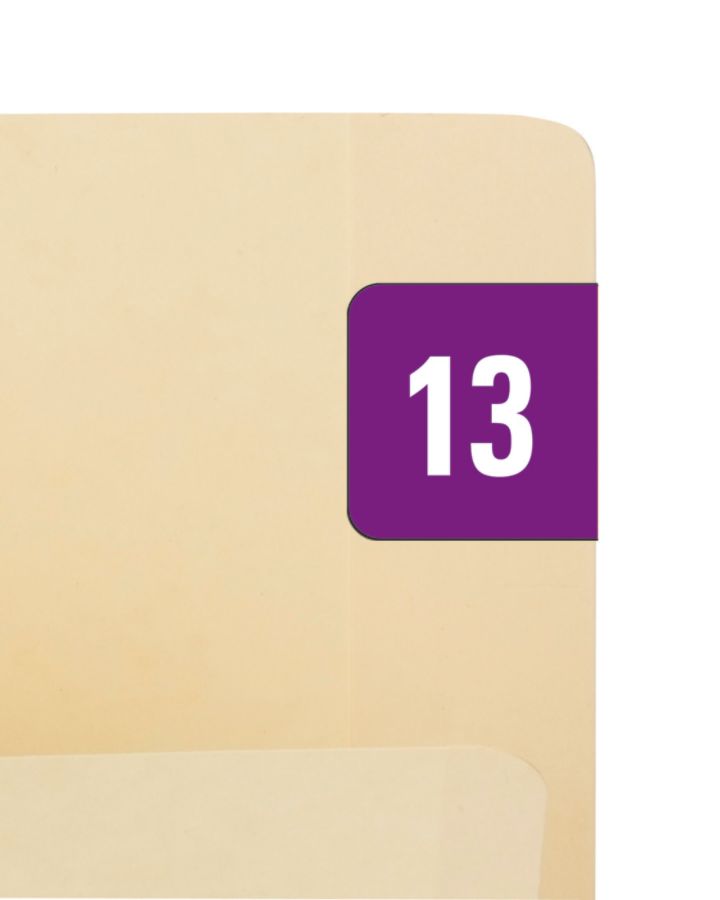 Smead&reg; Permanent Color-Coding Yearly Labels, 2013, 1" x 1/2", Purple, Pack Of 250
