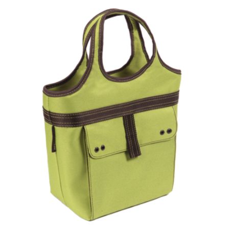 rachael ray lunch bag