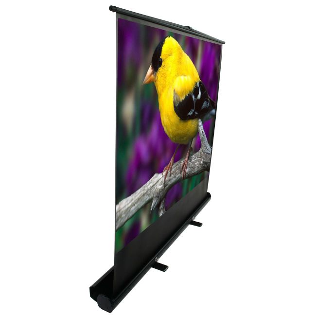 Elite Screens ezCinema Plus Portable Projection Screen