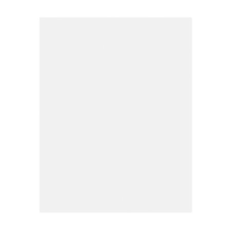 Pacon&reg; Peacock&reg; Railroad Board, 22" x 28", 4-Ply, White, Carton Of 100 Sheets