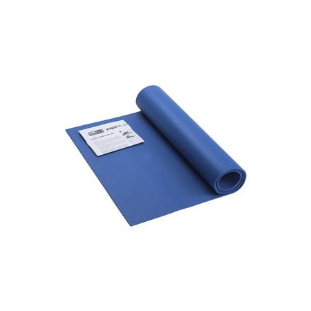 GoFit&reg; Double-Thick Yoga Mat With Yoga Posture Poster, 68"H x 24"W, Blue