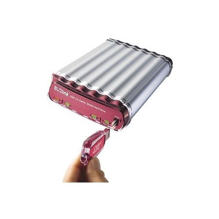 BUSlink 1 TB External USB 2.0 Hard Drive, Pink/Silver, CSC-1T-U2