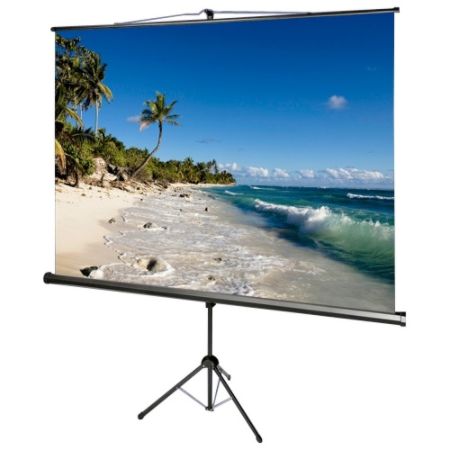 AccuScreens 800072 Manual Projection Screen - 119" - 1:1