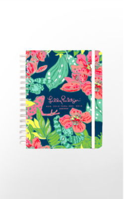 2013 Large Agenda