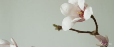 Covering Spring