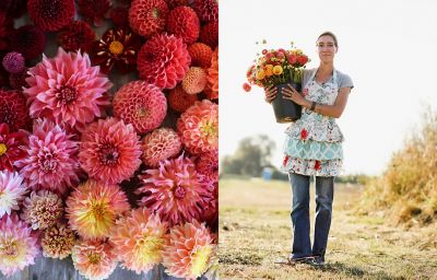 In The Field With Floret Flowers The Blog At Terrain