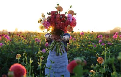 In the Field with Floret Flowers The BLOG at Terrain