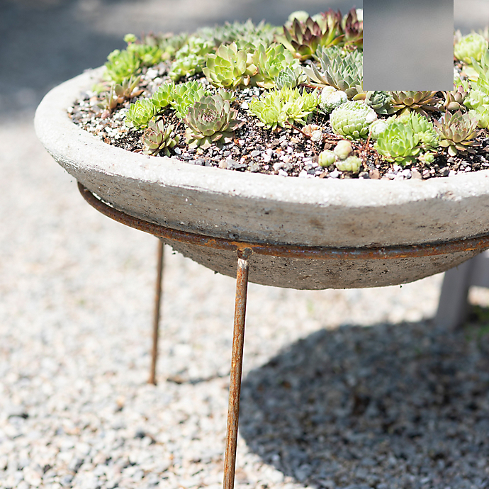 6 Things: Container Garden Trends for Spring