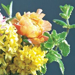 A Flowering How-To with Studio Choo