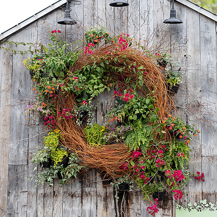 A Living Wreath Installation with Kaitlin Dodds