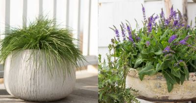a-beach-house-garden-the-blog-at-terrain