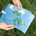 How-To: Create a Sunprint