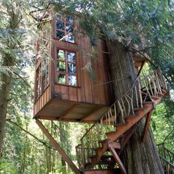 Where We've Been: The Treehouse