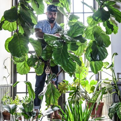 Inside the Home of Plant Stylist Hilton Carter