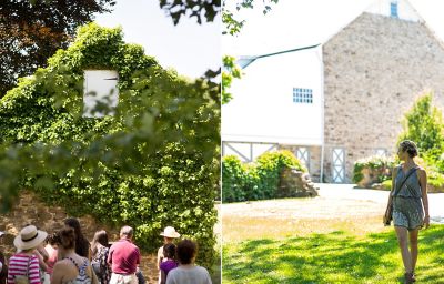 A Day at Carousel Lavender Farm The BLOG at Terrain