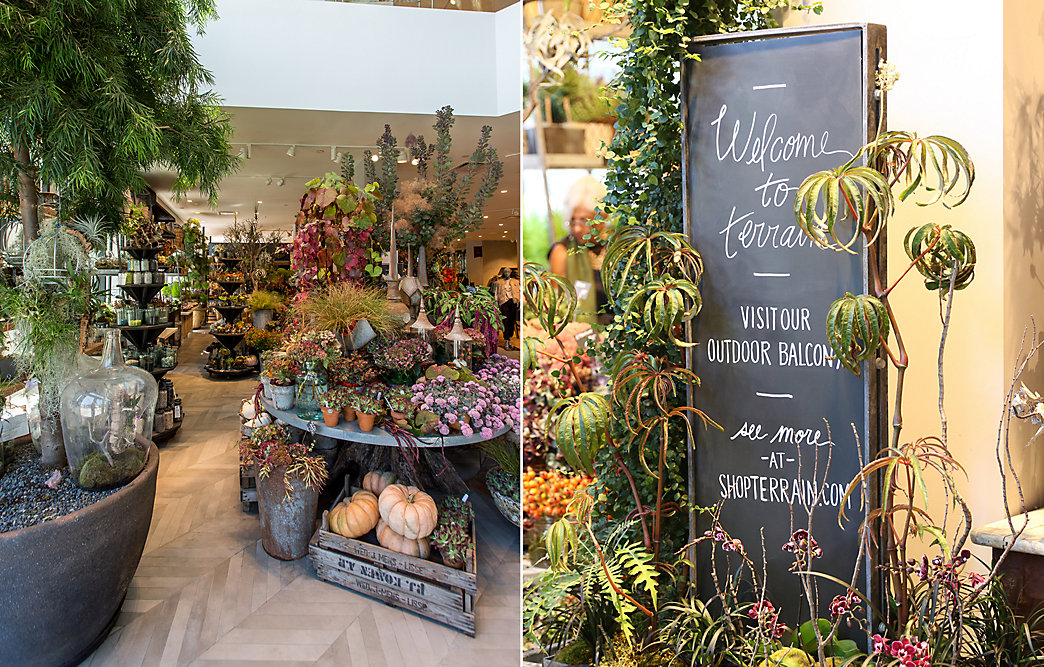 Image result for anthropologie walnut creek grand opening