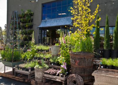 A Walk Through Terrain in Westport