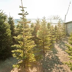 A Very Merry Holiday Open House