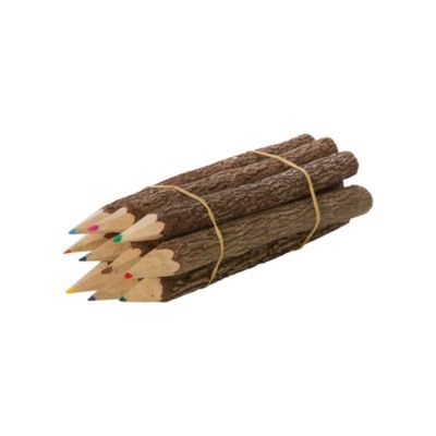 Twig Pencil Set 
