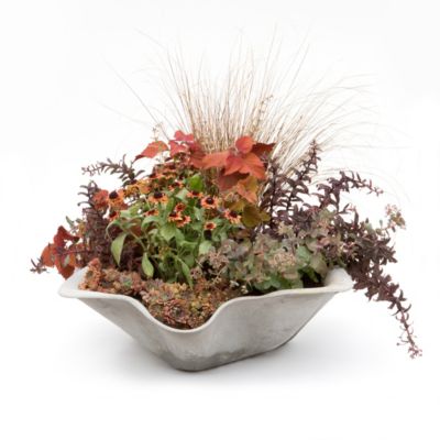 Biasca Planter