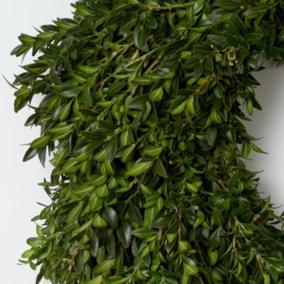 Blooming Spotlight: Boxwood Wreath