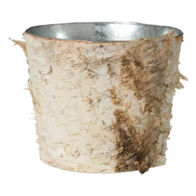 Birch Bark Pot Terrain