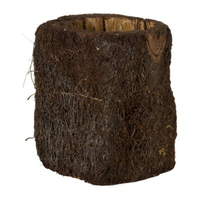Trunk Planter 
