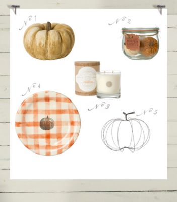 Collected: Pumpkin Harvest
