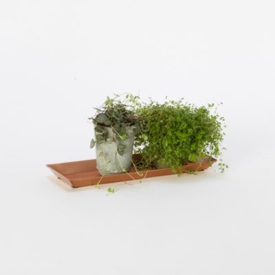 Polished Copper Tray, Rectangle