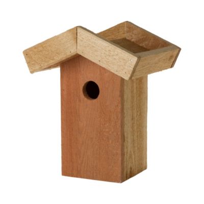 Green Roof Birdhouse