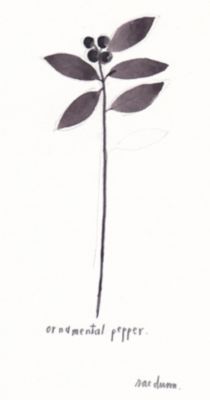 Rae Dunn's Fall Flora: Pepper