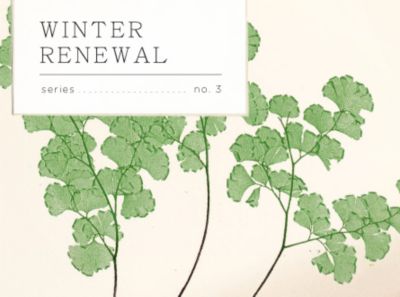 Winter Renewal: Winterizing Your Routine with RMS Beauty