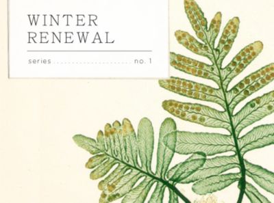 Winter Renewal: A Clean Start