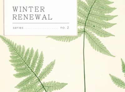 Winter Renewal: Deeper Skincare with Farmaesthetics