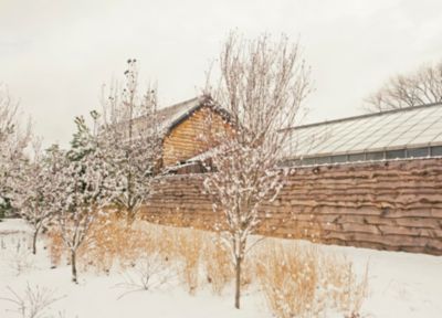 Our January Calendar