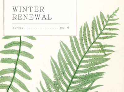 Winter Renewal: Healthy Hair with Yarok