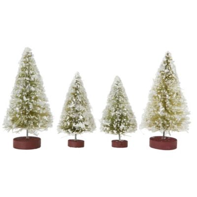 Bottlebrush Evergreens 