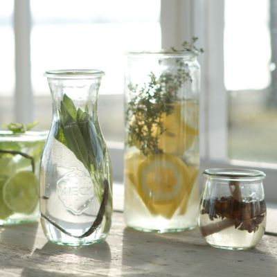 Terrarium Workshop