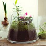 Summer Cooking Workshop Series: Summertime Dips 