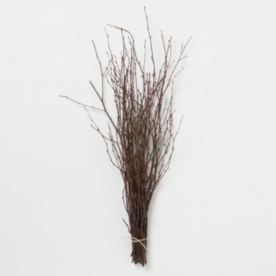 Birch Twig Bunch