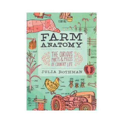 Farm Anatomy