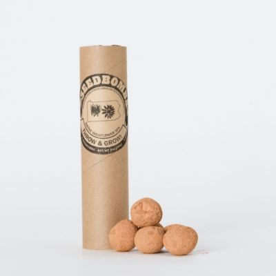 Wildflower Seed Bombs 
