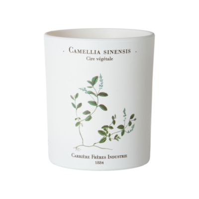 Black Tea Candle 