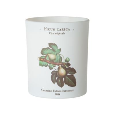 Fig Tree Candle 