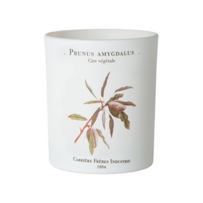 Bitter Almond Candle 
