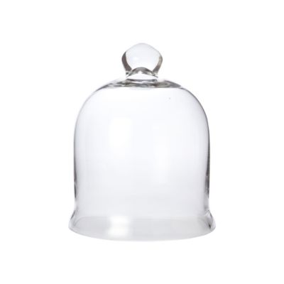 Bell Jar Cloche