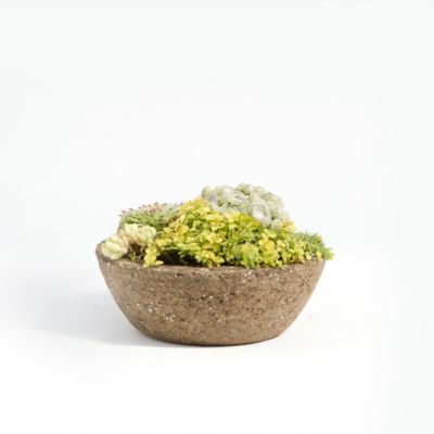Low Profile Hypertufa Planter, No. 1