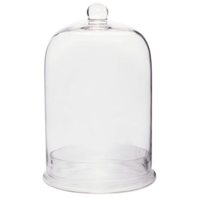 Glass Cloche With Base