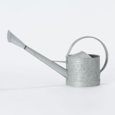 Galvanized Watering Can Terrain